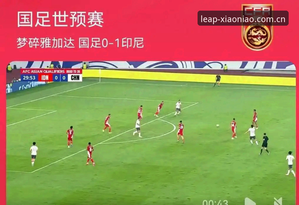 3大签证障碍让世界杯球迷梦碎，小鸟体育平台带你深扒观赛困局